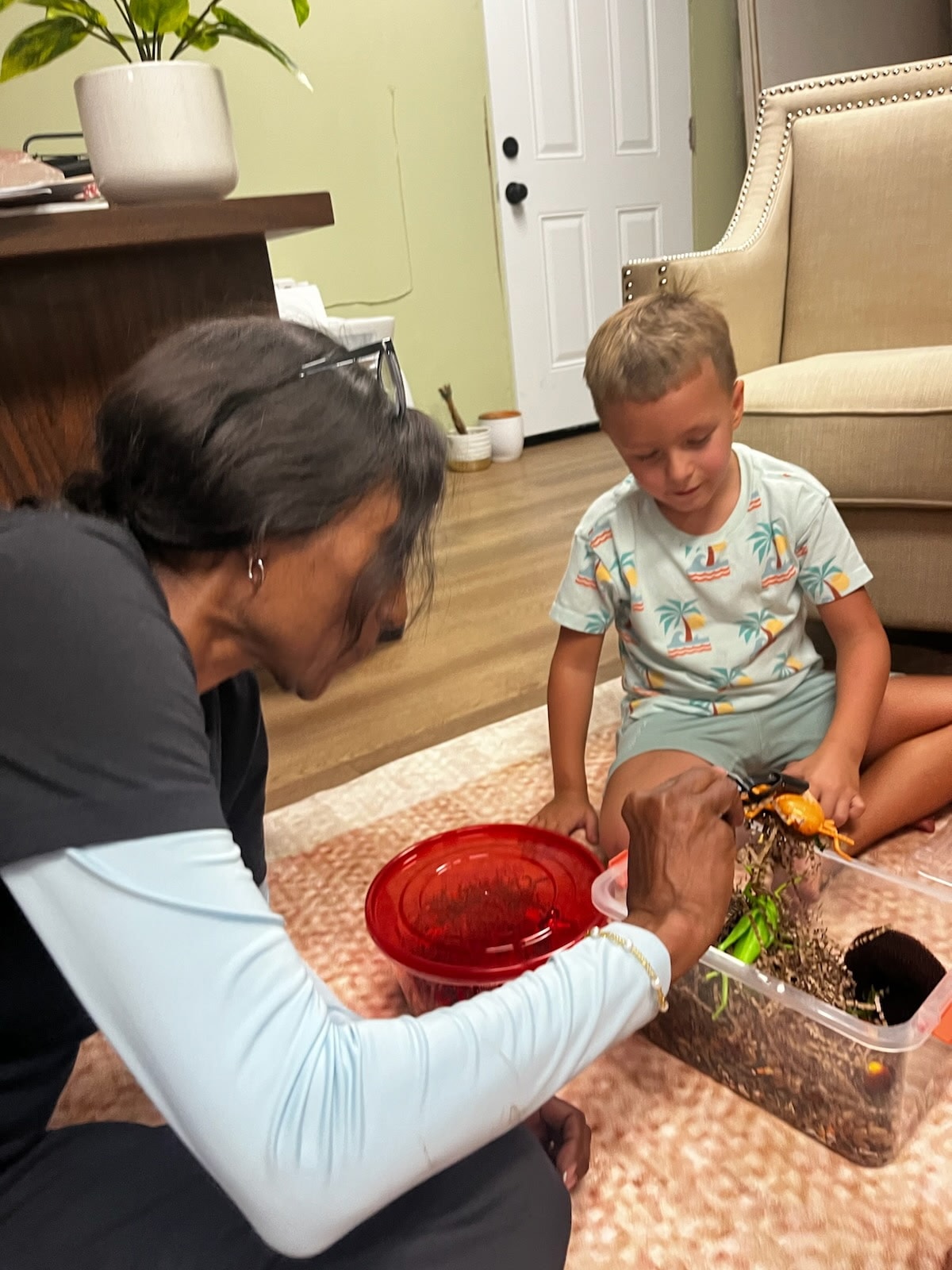 Child observing an adult feeding a pet turtle